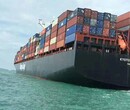 中国出口到意大利海运拼箱价格便宜实力强？