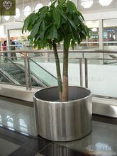 2019植物容器价格 报价 植物容器批发 第5页 黄页88园林网 