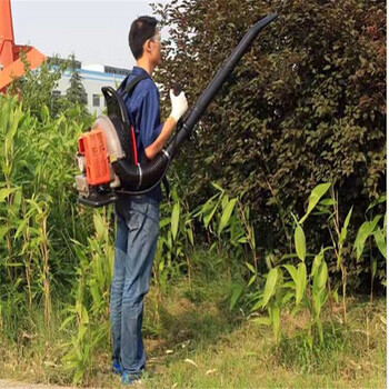 质优轻便式园林吹风吹雪机高风量节能道路清洁吹风机