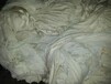 浙江省温州市收购汽车隔音棉再生棉，蓝色牛仔再生棉，出售丙纶纤维