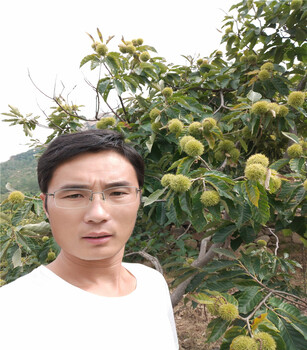 魯麗蘋果基地魯麗蘋果介紹