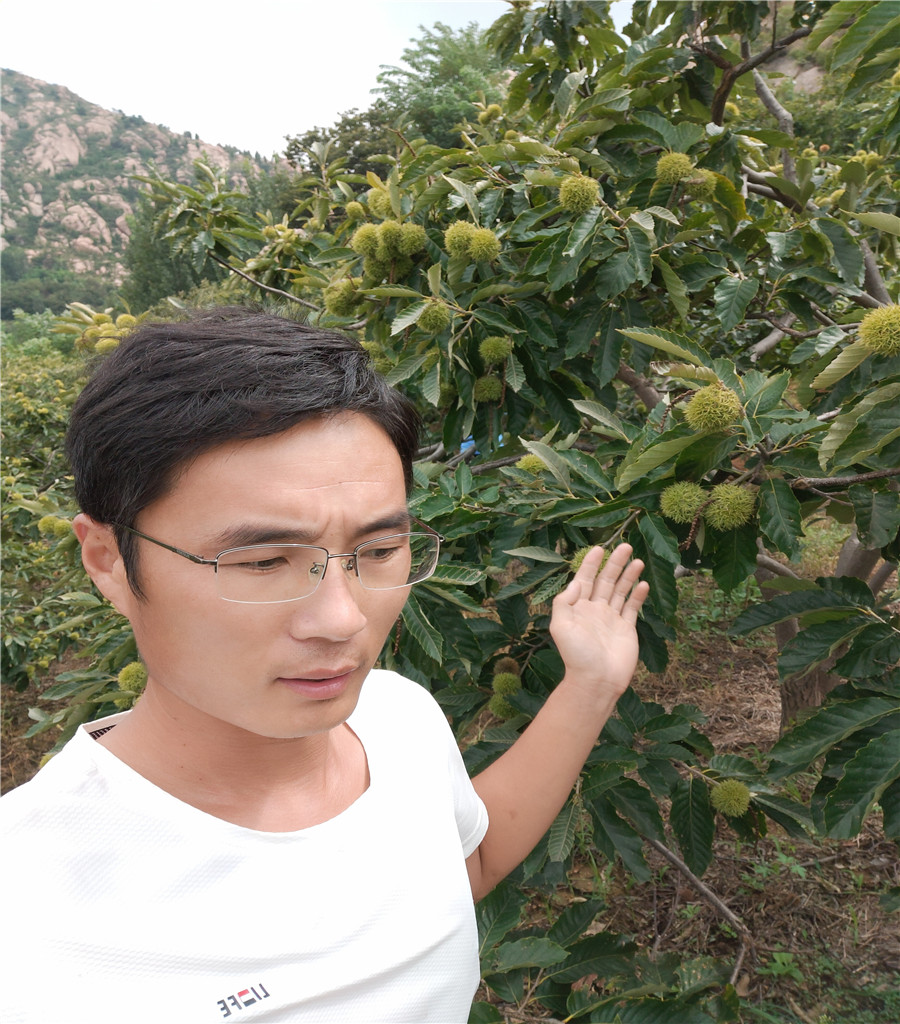 魯麗好管理嗎魯麗蘋果介紹