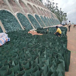 厂家河道治理护坡生态袋挡土墙用环保袋图片1