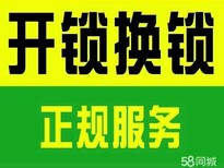 广州太阳城御园开指纹锁·开密码锁·合景誉山国际开防盗门锁·开汽车锁开保险柜图片1