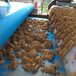 供应重庆九龙坡淤泥处理设备履带式压滤机生产厂家