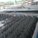 海南海口小型带宽1.5米带式压滤机沙场泥浆脱水设备报价