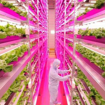 led植物燈led生長燈大功率植物燈植物生長燈