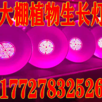 LED植物生长灯,LED植物灯