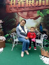 萌宠展览出租袋鼠租赁袋鼠出租
