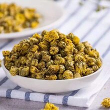 射阳菊花洋马菊花图片