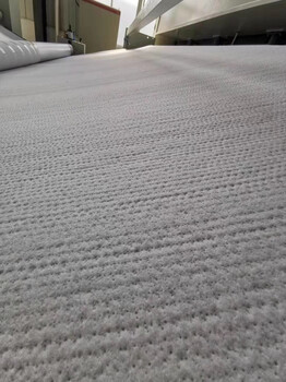 泰安腾路2020年新品上市天然纳基膨润土防水毯