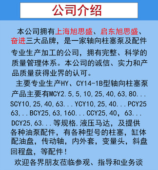 上海旭思盛轴向柱塞泵10YCY14-1B轴向柱塞泵高压油泵柱塞泵