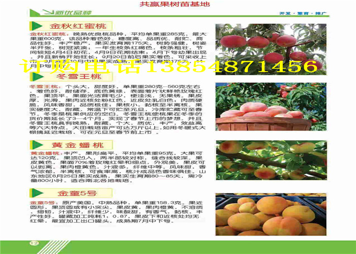 贵州黔南果树哪里卖,哪里出售果树