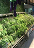 西藏連鎖超市蔬菜架冷柜風幕柜專用噴霧機