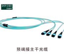 MPO/MTP预端接主干光缆/MPO预端接光纤跳线--江苏东维通信光缆图片