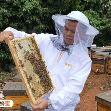 郴州蜂业：中华蜂土蜂蜜1斤装自然成熟蜂蜜批发图片