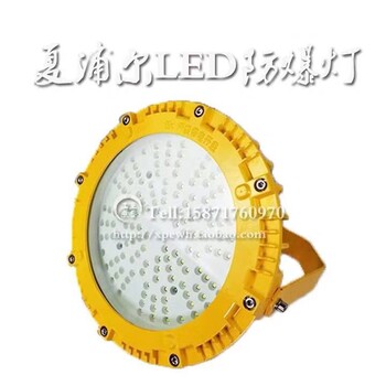 LED防爆泛光燈隔爆型應(yīng)急投光燈