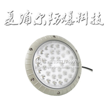 LED防爆燈100W投光燈50W150W礦用應(yīng)急投光燈