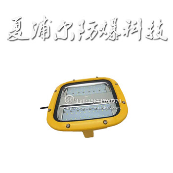 LED防爆吸頂燈50W投光內(nèi)場(chǎng)燈