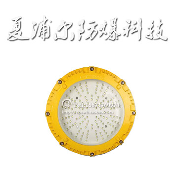 LED防爆燈30W防爆泛光燈