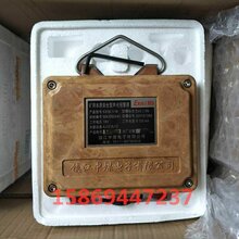 镇江中煤KXH0.1/18矿用本质安全型声光报警器图片