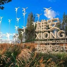 那曲京雄世贸港四期-好的投资图片