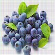 藍莓苗單價V5藍莓苗價格多少