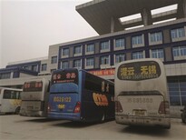 大巴车）西安到哈尔滨营运汽车/公司哪家便宜图片2