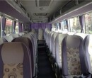 哈尔滨到郓城的大巴票价直达长途汽车图片