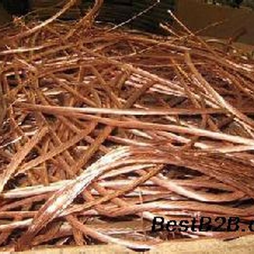 广东湛江电线电缆（废铜回收）多少钱一吨/米