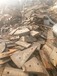 神农架废铜回收“废铜回收”可长期依赖