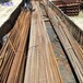 茂名施工钢板桩（回收·租赁·施工·公司·）回收废电缆