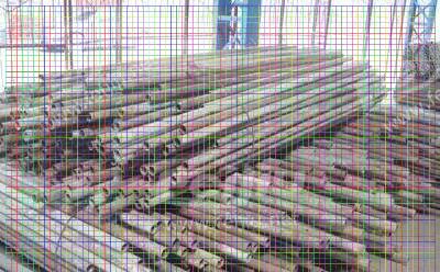 东莞麻涌镇打钢板桩价格 基坑支护多少钱一米