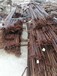 東莞長安鎮回收鋼板專業價格