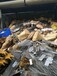 茂名茂港旧钢板桩厂家，专业的每吨钢筋回收价格