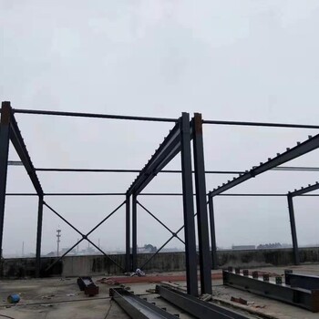 肇庆简易钢结构工程公司承接搭鸡棚的搭建图片大全