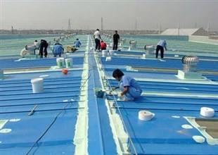 新建钢结构_广东钢构钢结构工程_雨棚雨棚