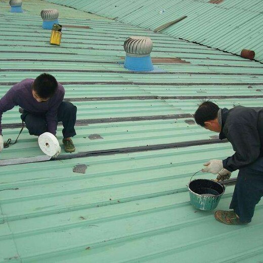 广州市越秀区钢结构更换公司，广州市越秀区建造彩钢瓦搭建