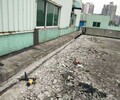 雨棚阁楼搭建,钢结构厂房施工口碑