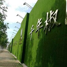 安装围墙队伍搭建工程,番禺围墙雨棚搭建队伍图片