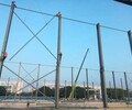 建造钢结构_广东钢构钢结构工程_彩钢棚顶棚