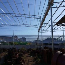 安装彩钢瓦铁棚厂家搭建工程,南沙彩钢瓦铁棚雨棚搭建厂家图片