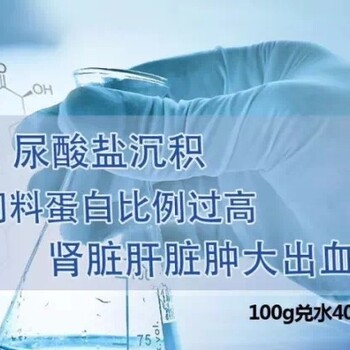 家禽为什么要使用保肝护肾的药？其中的原因您知道吗？