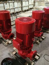 北京大兴消防泵3CF新标准图片