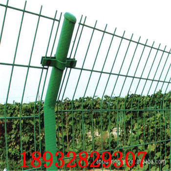小區(qū)圍欄網(wǎng)--河北安平聚光廠家供應(yīng)雙邊絲防護(hù)網(wǎng)隔離圍欄網(wǎng)