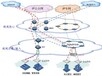 昆明企业专线_昆明企业宽带选云南吉沙成塔信息技术有限公司