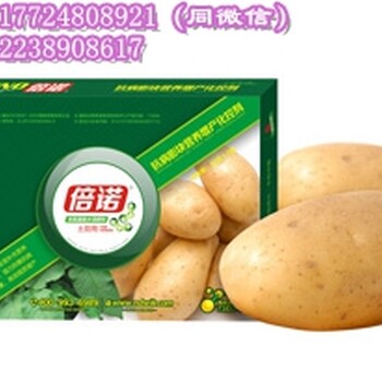 土豆肥料倍诺-控旺膨大又增产/多效合一好肥料