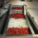 水果清洗机全自动果蔬清洗机厂家蔬菜清洗机加工定做