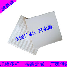防腐工程耐酸砖/耐酸瓷板选众光1图片