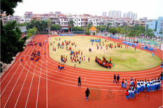 广州塑胶跑道，广州塑胶跑道公司，广州硅pu球场建造--嘉华体育图片5